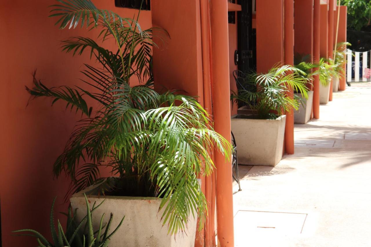 Hotel Andrea'S Tulum Zewnętrze zdjęcie