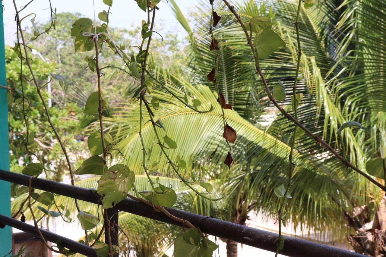 Hotel Andrea'S Tulum Zewnętrze zdjęcie